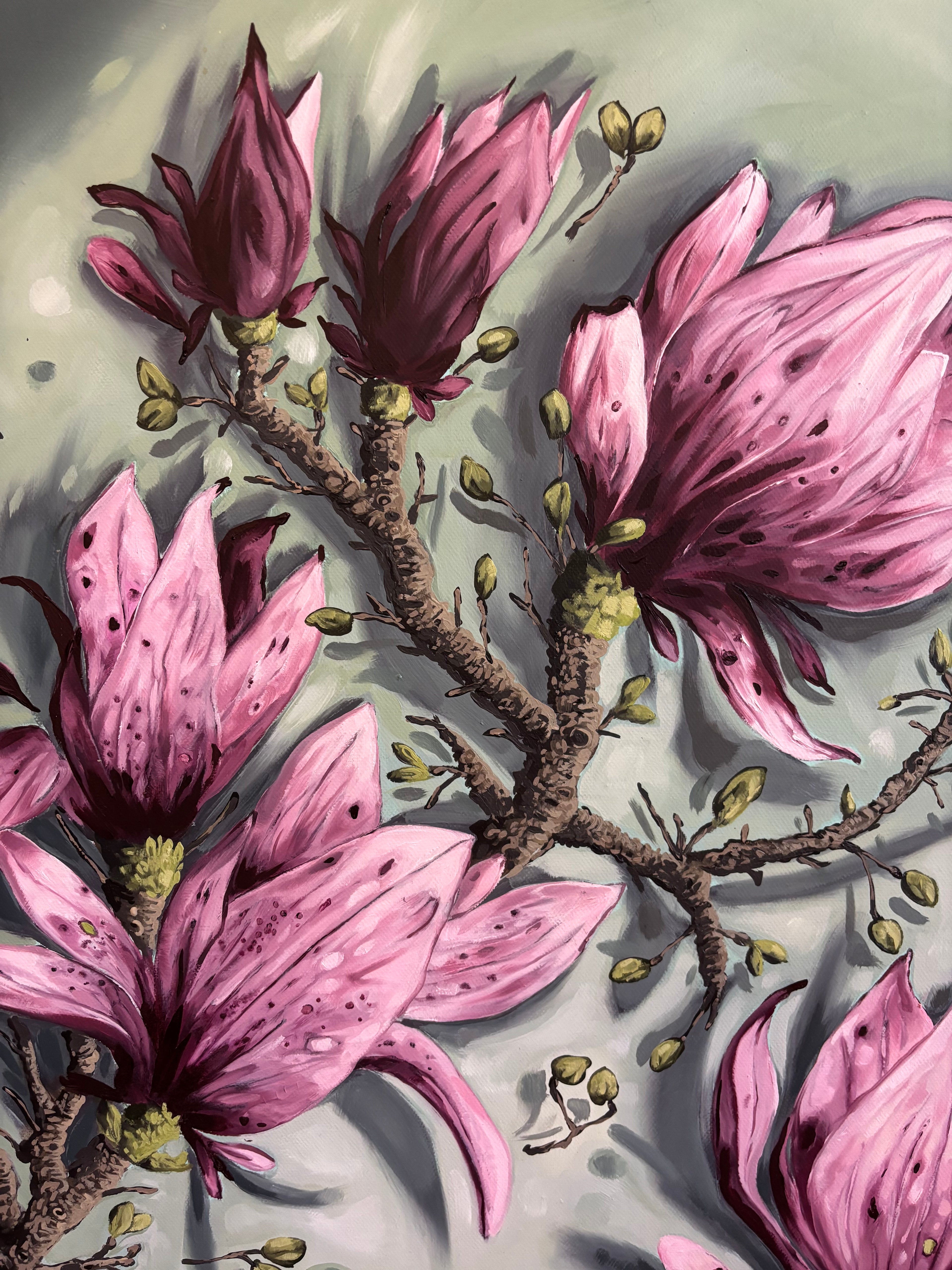 Magnolia in Bloom