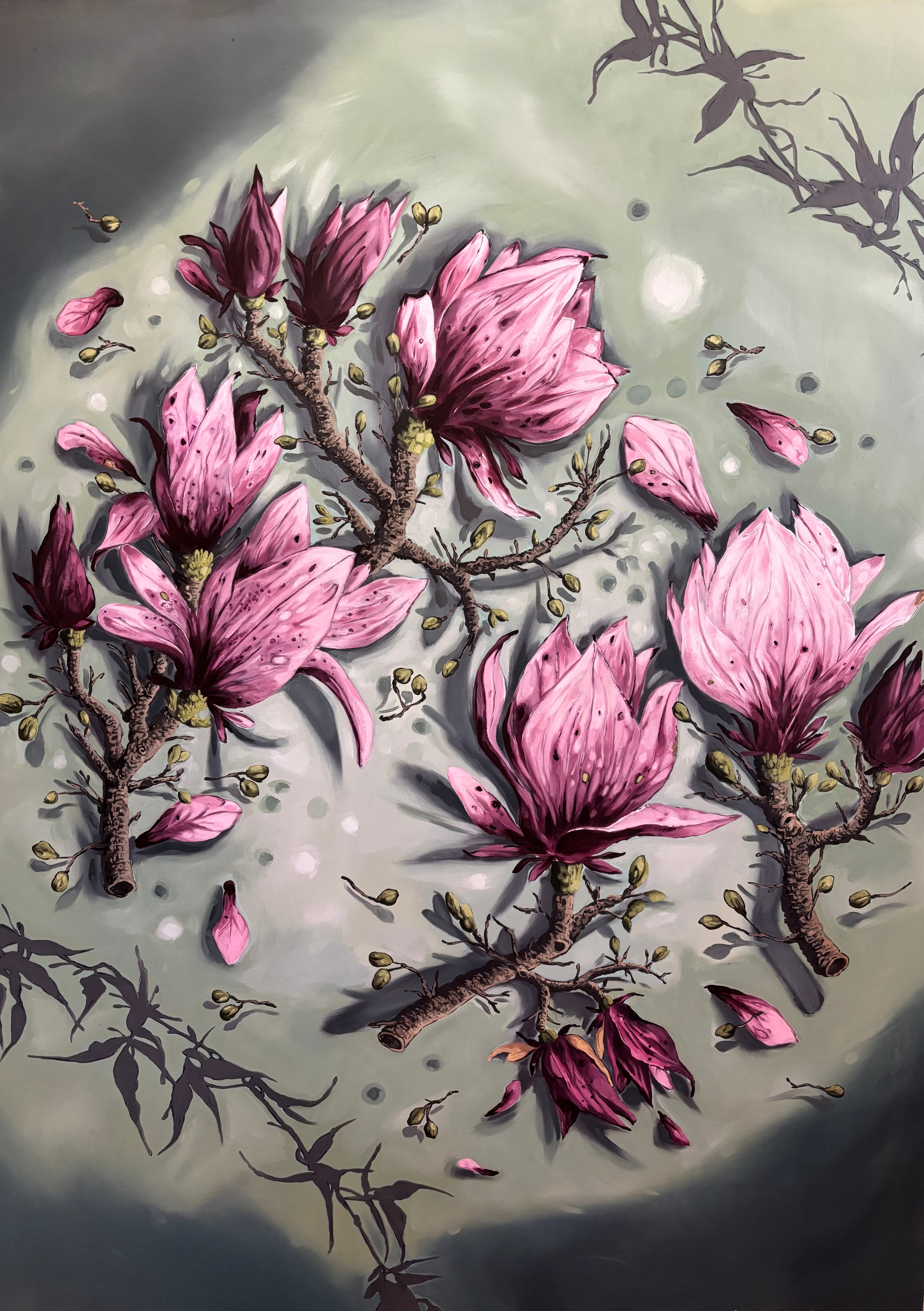 Magnolia in Bloom