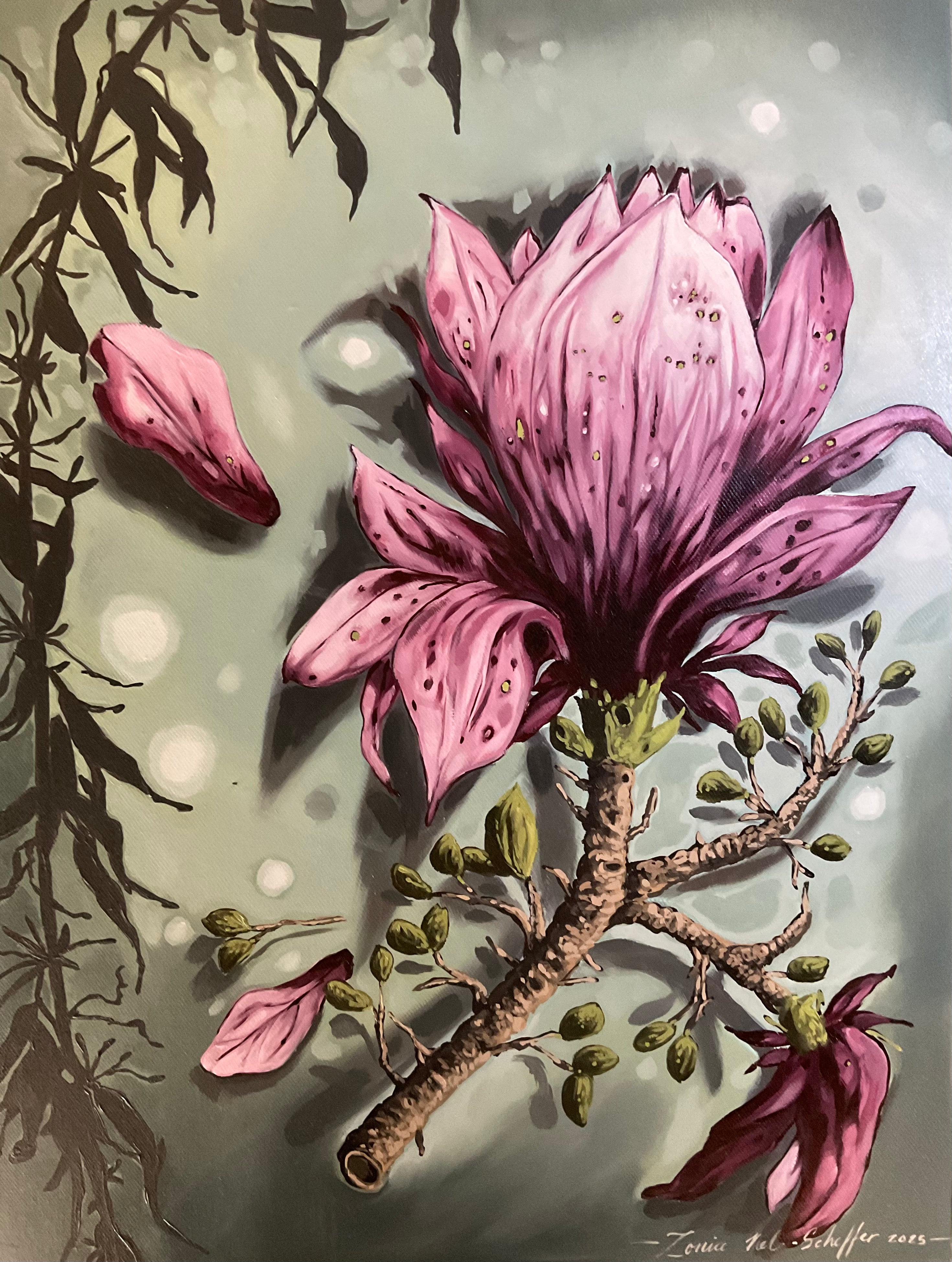 Magnolia in Light
