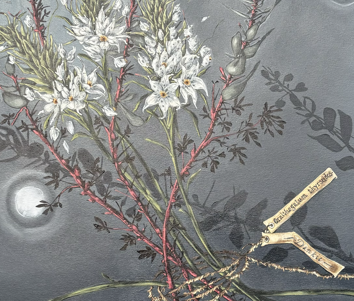 Bouquet of Chincherinchees